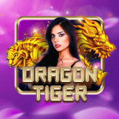 Dragon Tiger spinph apk