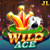 Wild Ace spinph apk slot